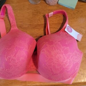 Cacique Vibrant Pink Lace Bra